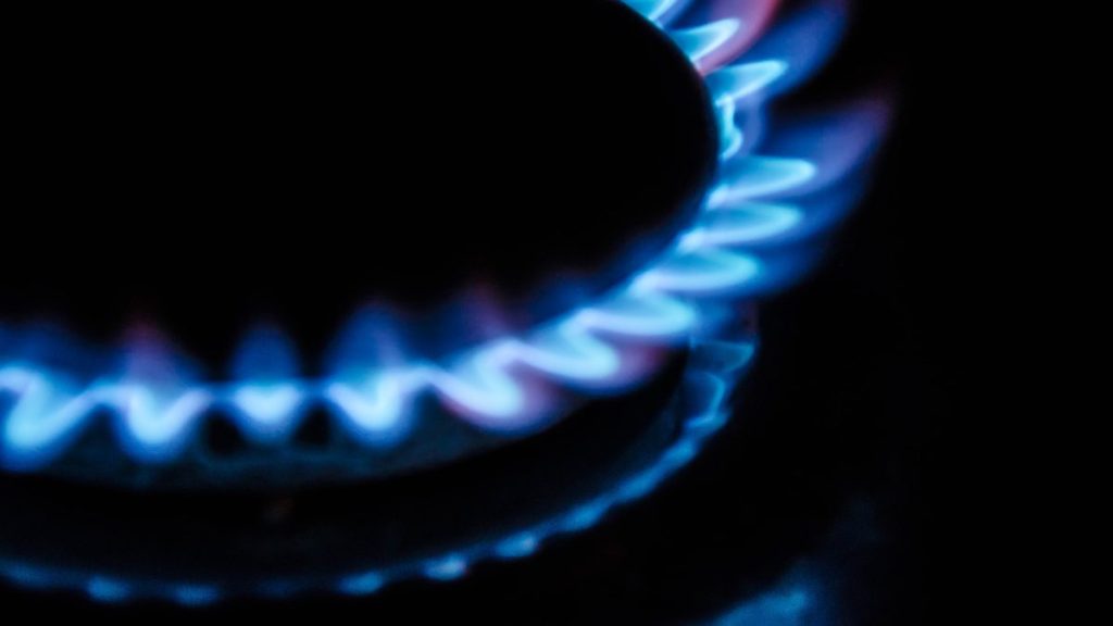 CEO compagnia elettrica statale italiana: i prezzi del gas naturale sono fuori controllo